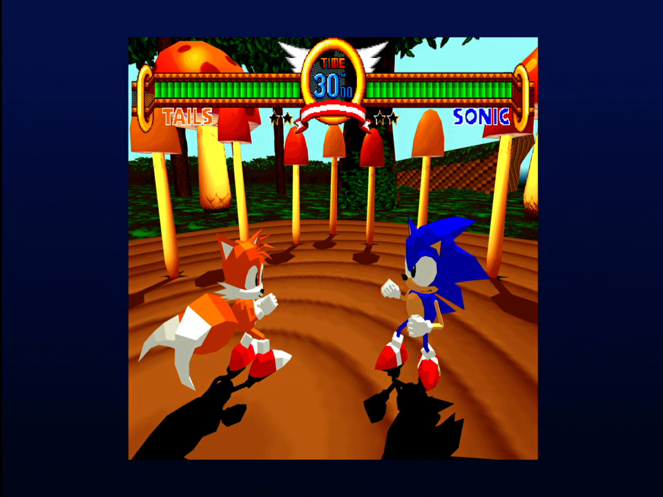 Sonic Fighters Game Online