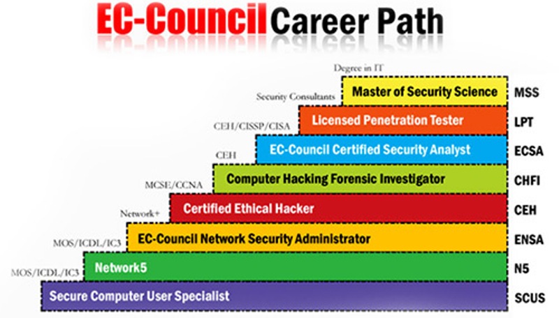 Ethical hacking course free download